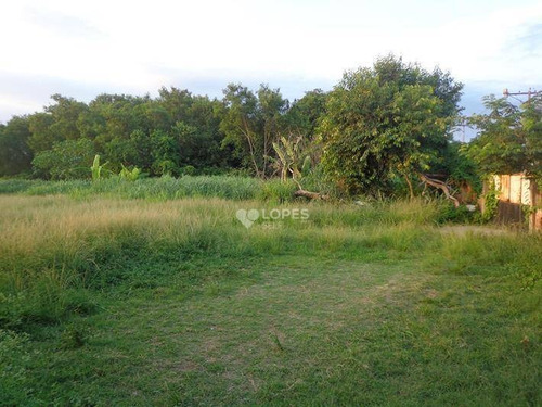 Imagem 3 de 3 de Grande Área Totalmente Plana Com 5.121m², Pronta Para Construir, À Venda, Por Apenas R$ 750.000,00 - Santa Luzia - São Gonçalo/rj - Te3702