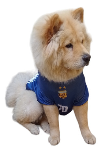 Camiseta De FĂștbol Para Perros Maradona Mundial 94