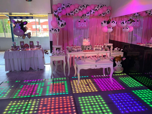 Imagen 8 de 10 de Salón De Fiesta Infantil, Pantalla, Karaoke,cancha De Futbol