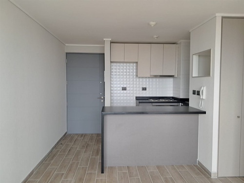 Departamento En Arriendo 2 Dorm.concepción, Plaza Condell