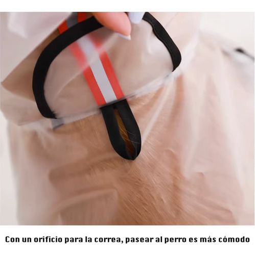Chubasquero Transparente For Perros Grandes Capucha Y C