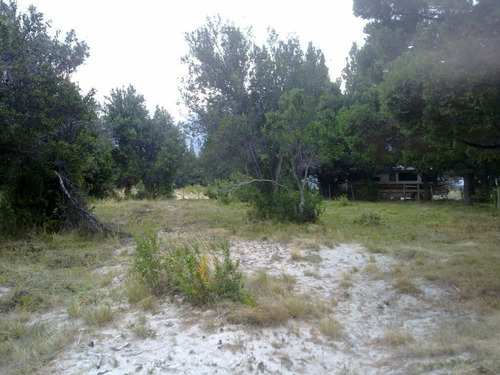 Imagen 20 de 23 de Terreno - Meliquina