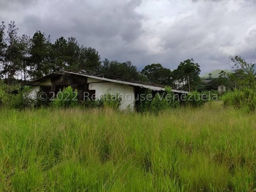Imagen 9 de 20 de Finca Avicola En Venta Bejuma Carabobo
