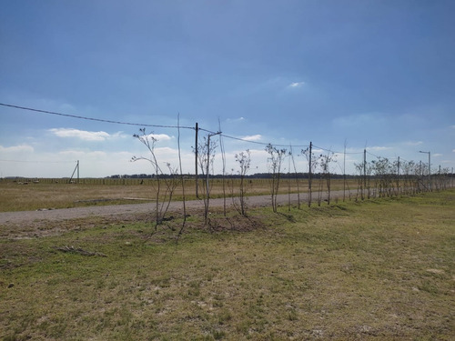 Imagen 15 de 30 de Lotes En San Vicente El Viejo Ombu