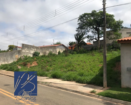 Imagem 1 de 5 de Terreno - Te00043 - 34354522