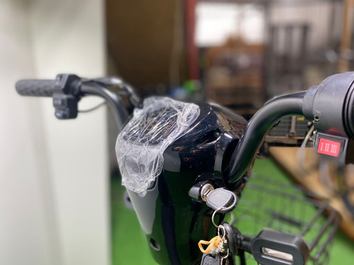Bicicleta Electrica Pegaso Bike 350w 48v Negra