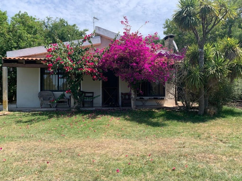 Vendo Muy Linda Chacra Con 3 Casas, 2 Galpones Y Un Parque Arbolado Único!!!!!!!!!!