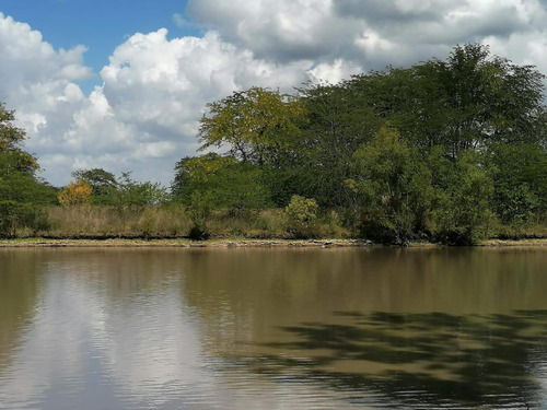 Venta Terreno