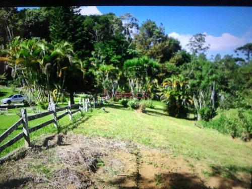 Imagem 6 de 9 de Sítio Com 54 Mil M² Em Vargem Grande, Teresópolis/rj. - St00211 - 69918534
