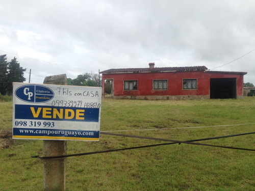 Chacra Con Casa En Buena Ubicación De Migues Reservado