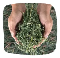 Comprar Heno De Alfalfa Alimento; Conejos, Cobayos X 4kg. Caba