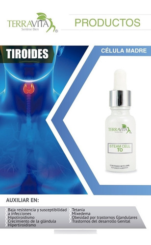 Célula Madre Ts