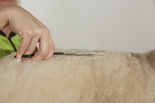 Tesoura Reta Andis Professional Para Cuidar De Cães E Gatos