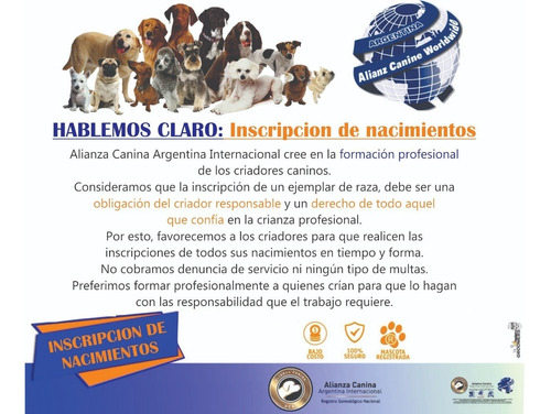 Denuncia Nacimiento Alianza Canina Argentina Internacional