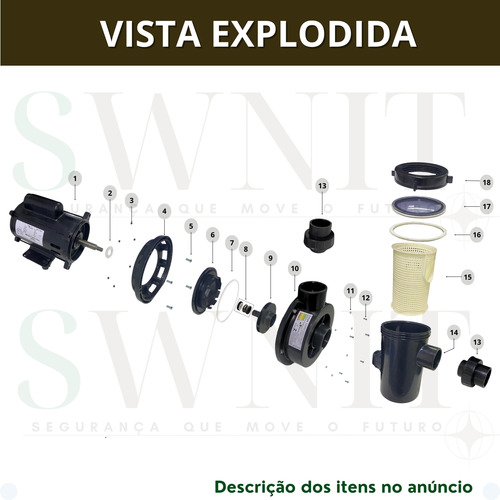 Motobomba Para Piscina Com Pré-filtro Seg Max Torque 1/2hp