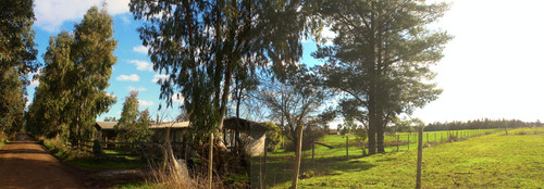 En Venta Terreno Fértil Para Producción Con Casa Construida
