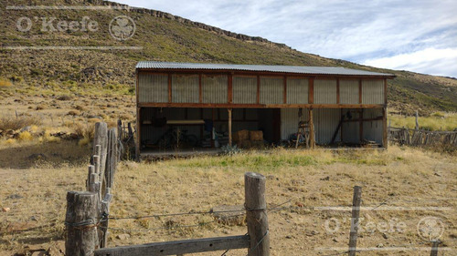 Imagen 13 de 30 de Campo En Venta De 14.000 Has En Neuquen Patagonia Argentina - Estancia Ganadera