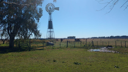 Campo En Venta En San Eladio, Buenos Aires.