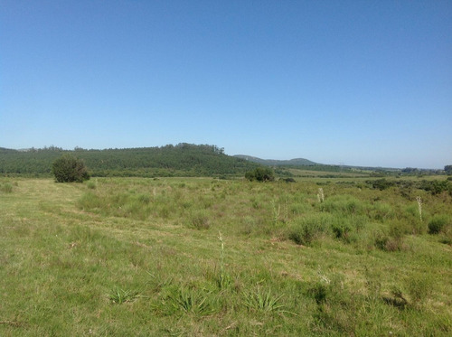 Chacra En Sierra De Las Animas