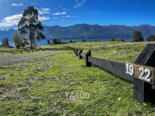 Parcela 5000 M2 Lago Riñihue Ribera Sur. Región Los Ríos