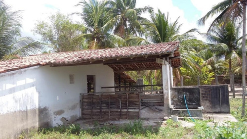 Imagem 20 de 30 de Chácara Com 3 Dormitórios À Venda, 58105 M² Por R$ 900.000,00 - Mendes - São José De Mipibu/rn - Ch0009