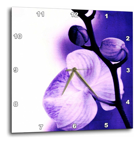 3drose Dpp__3 Zen Púrpura Orquídea Flor Floral Arte Naturale