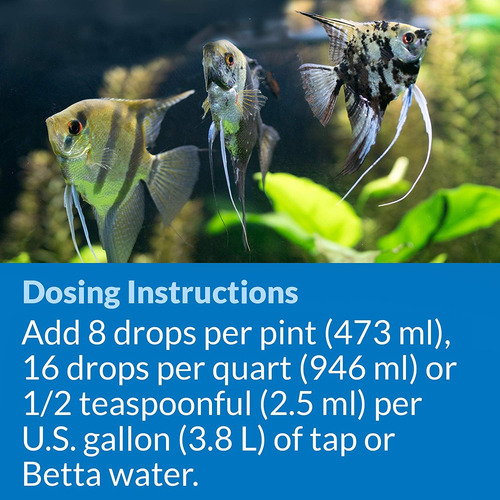 Api Betta Purificación Del Agua