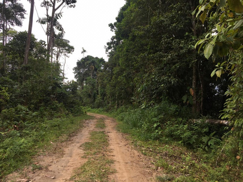 Imagen 22 de 23 de Finca 32 Has/lotes De 3 Has