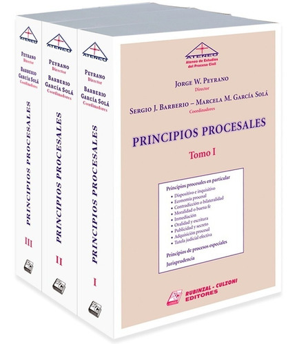 Principios Procesales - Obra Completa De 3 Tms Peyrano (rc)