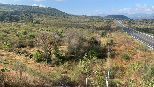Hectáreas En Venta En Chiquimitío (tarímbaro)