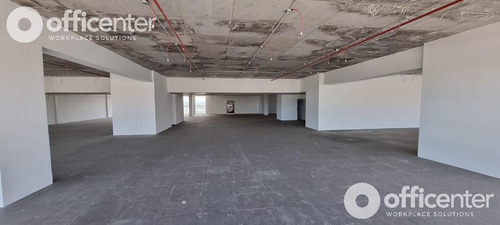 Planta Libre En Alquiler 1500 Mts- Ciudad Gama - Av. Colón Al 5000