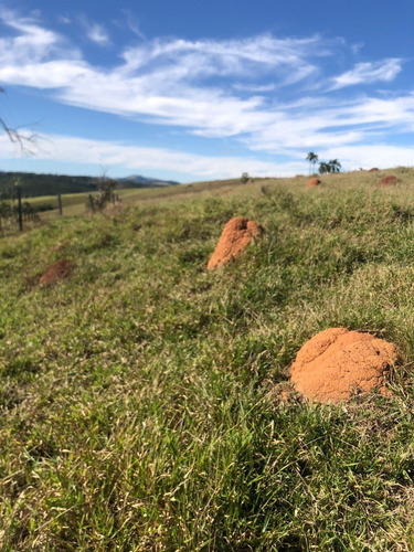 Imagem 3 de 14 de A23d-vendo Maravilho Terreno De 1.000 M²