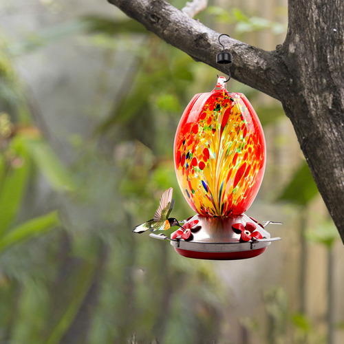 Colibrí N Feeder, Flor Acuática, Pájaro, Cristal Pintado