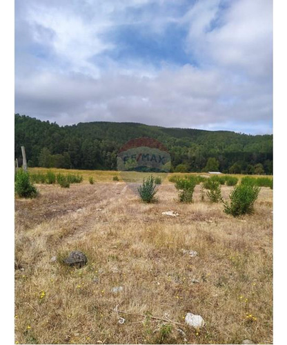 Tu Refugio Natural En Valdivia 26000 M² De Ensueño