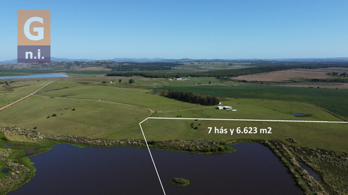 Campos Y Fracciones En Maldonado (laguna Del Sauce) - Ref. 4619