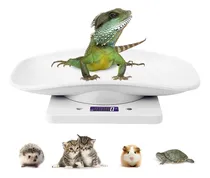 Comprar Bàscula Corporal Báscula Digital Para Mascotas, Báscula E