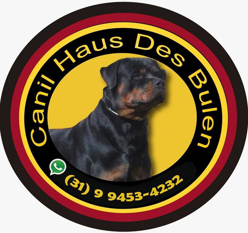 Filhotes Rottweiler , Genética Temperamento E Conformação.