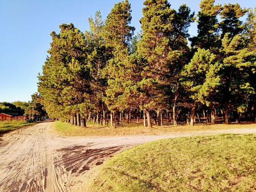 Terreno - Mar De Ajo