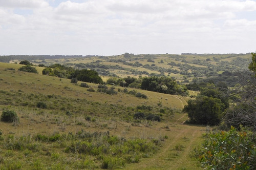 Venta De Chacras De 5 Has Se Ubicado En Garzon - Ref: 2962