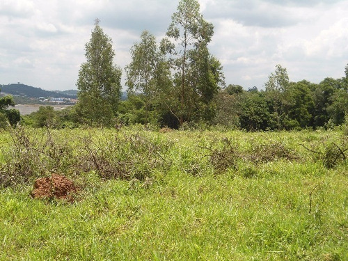 Imagem 1 de 5 de Vendo Área Na Estiva Em Louveira Com 50 Mil M² - Ar00024 - 2586754
