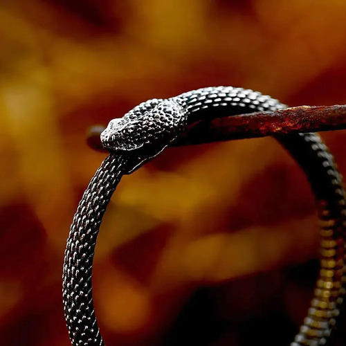 Collar Serpiente Uroboros Vivora Infinito Cadena Dije Snake