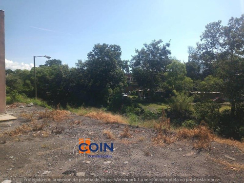 Imagen 4 de 5 de Terreno En Venta San Miguel Tlachichilco