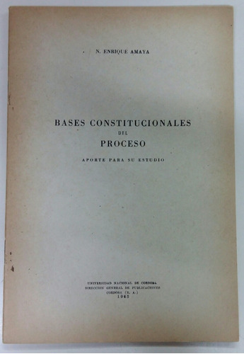 Bases Constitucionales Del Proceso Enrique Amaya