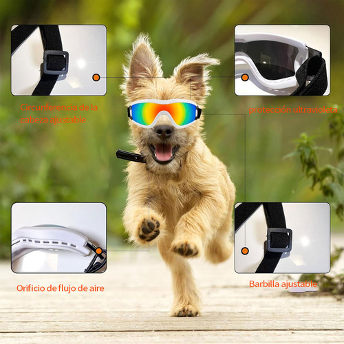 N Lentes Gafas Sol Para Perros Pequeño Protección Uv Viento