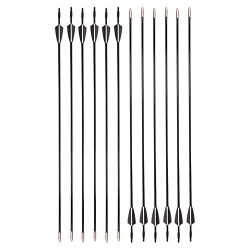 Flechas Principiantes De Arquería (flechas De Fibra De...