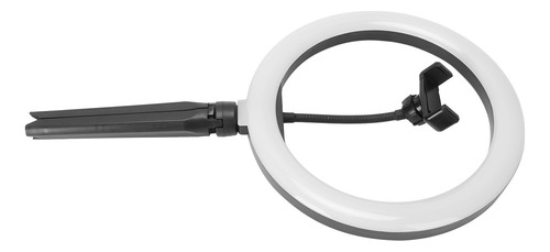 - Escritorio Circle Led Regulable Circle Desktop Circle