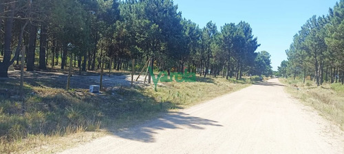Imagen 1 de 9 de Venta Terrenos Solymar