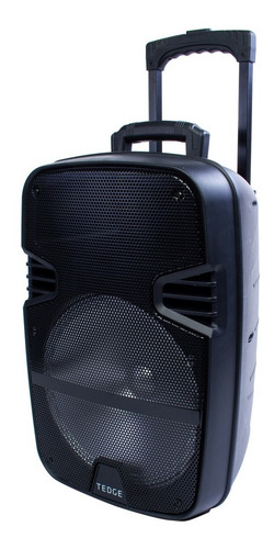 Caixa De Som Portátil Bluetooth Karaokê 12 Polegadas Tedge