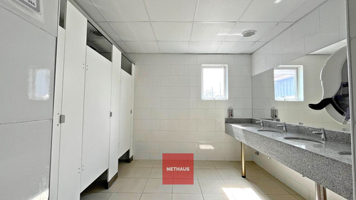 Nethaus Vende Gran Edificio Multiuso En Enea Pudahuel