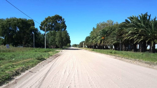 Imagen 3 de 12 de Venta De Lote Sobre Av. Naval